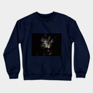 Plays of light - 1 Crewneck Sweatshirt